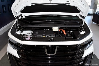 2025款威尔法 皇冠 双擎 2.5L 墨金版