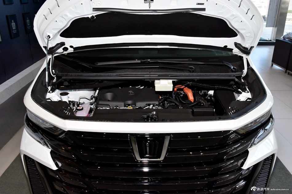 2025款威尔法 皇冠 双擎 2.5L 墨金版