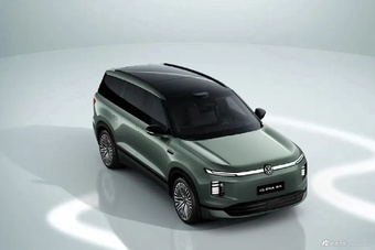 2026款ID. ERA 9X 仙踪绿