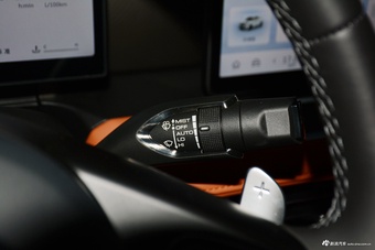 2026款长城炮 2.4T乘用炮自动柴油四驱尊享型