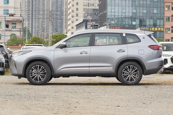 2025款瑞虎8 PRO 290T 两驱豪华+