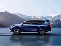 2025款星途揽月C-DM 1.5T C-DM 四驱 6座 官图