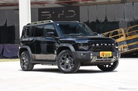 2024款山海T2 C-DM 208KM 山野版