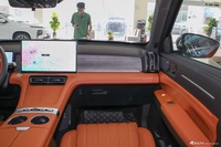 2025款山海L7 PLUS 220km精英版 7座