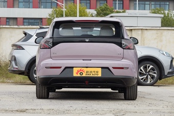 2025款极狐T1 320 PLUS